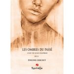Les ombres du passé : Deux affaires criminelles napoléoniennes et sept innocents exécutés en Vosges